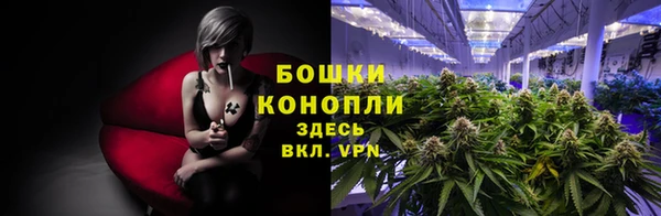 a pvp Медногорск