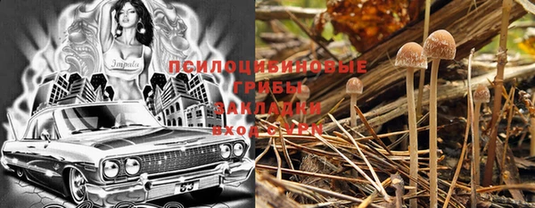 кокс Михайлов
