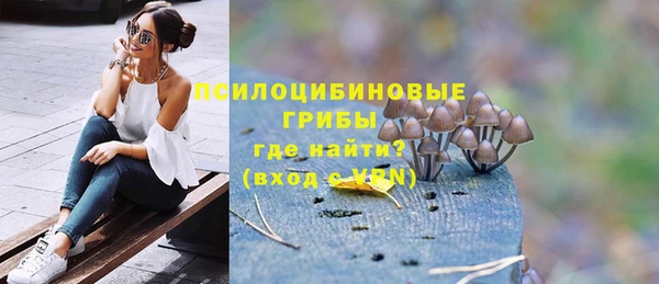 кокс Михайлов