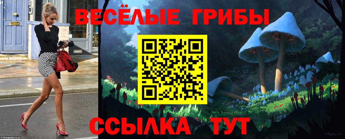 Галлюциногенные грибы GOLDEN TEACHER Донецк