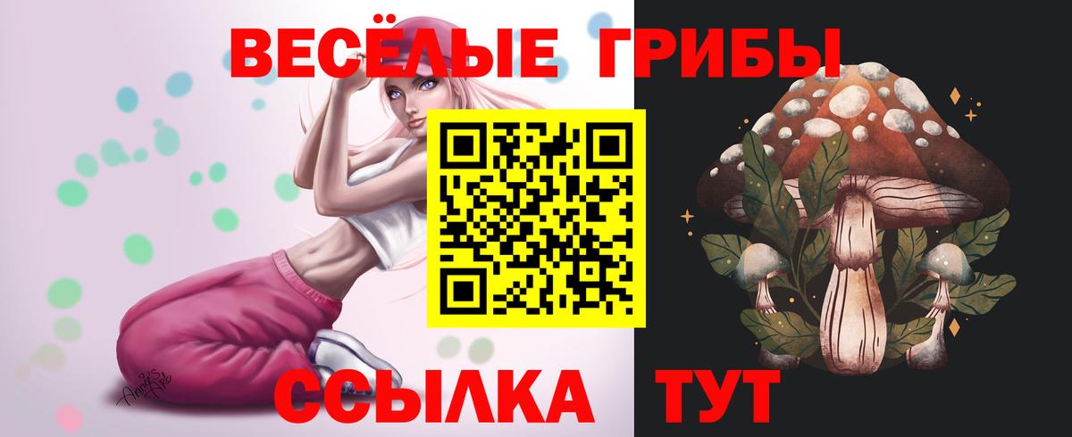 Донецк  Псилоцибиновые грибы Psilocybe  Псилоцибиновые грибы прущие грибы  Вход с VPN 