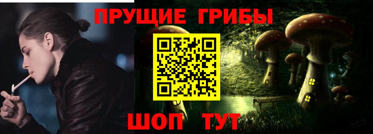 Псилоцибиновые грибы мицелий Донецк